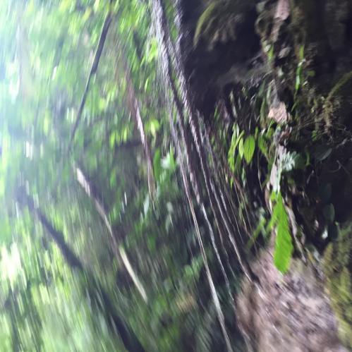 10400924_10154453633998761_4528128164500033272_n