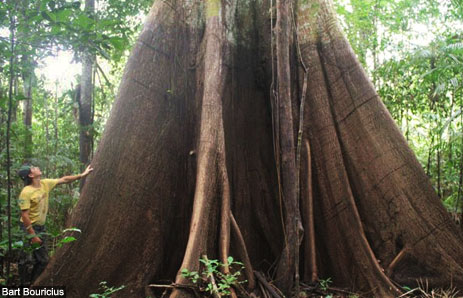 28f8a109e4a64281e8846737f1b51d4a