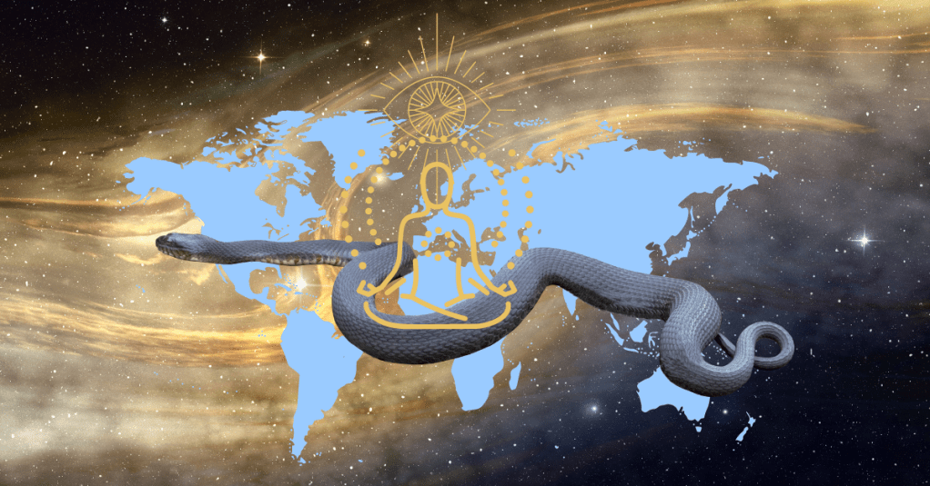 WHEN AYAHUASCA CALLS&nbsp;YOU